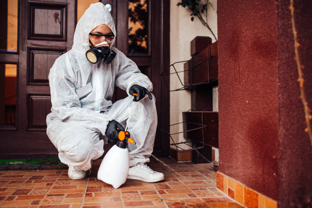 Reliable Cockroach Control contractor in Auburn, KY by Nex Pest Control